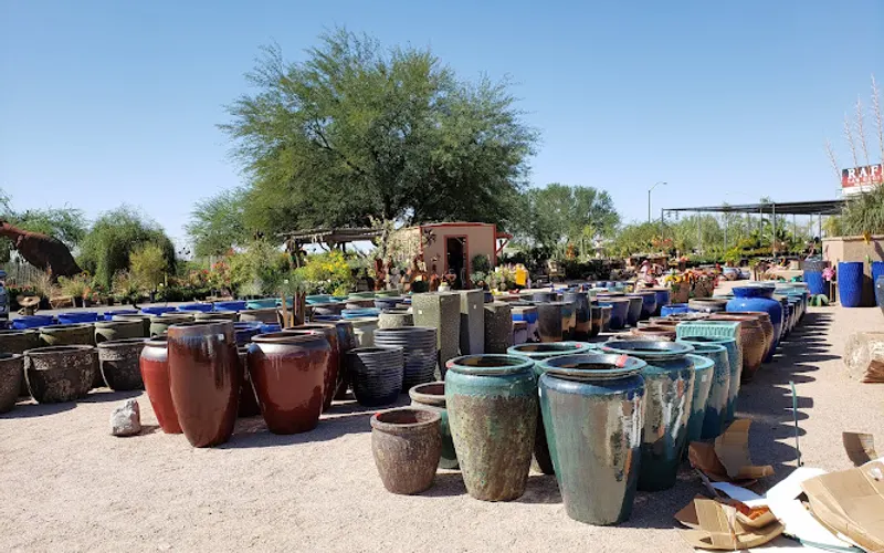 Apache Landscape — Plant nursery