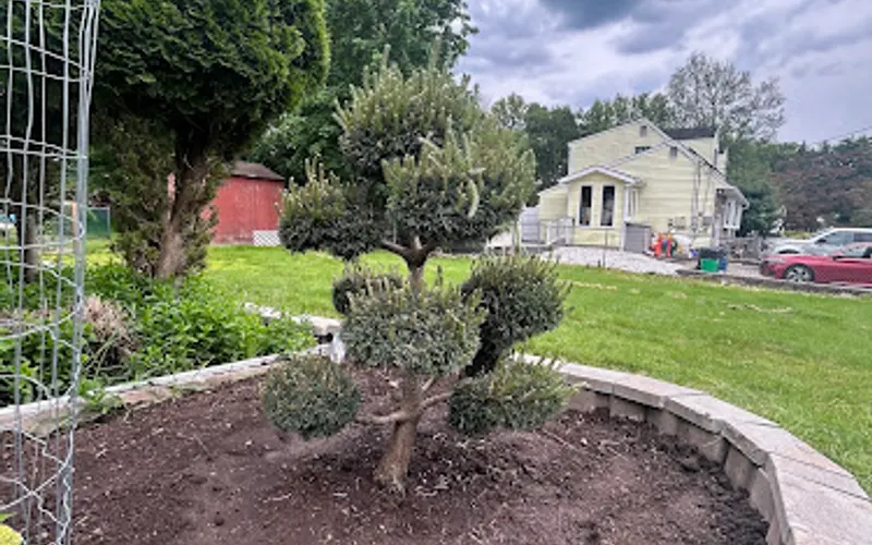 Suburban Garden Center Inc. — Plant nursery
