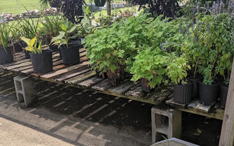Garden Center & Landscaping, LLC. — Garden center