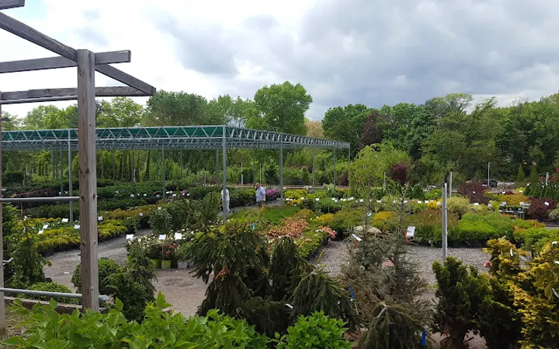 Stone House Nursery — Plant nursery
