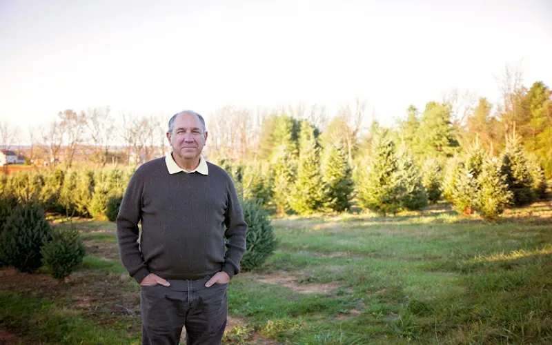 Misty Run Tree Farm — Tree farm
