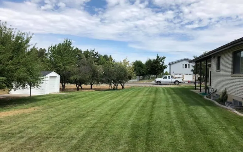 Canyon View Landscape and Yard Care — Landscaper