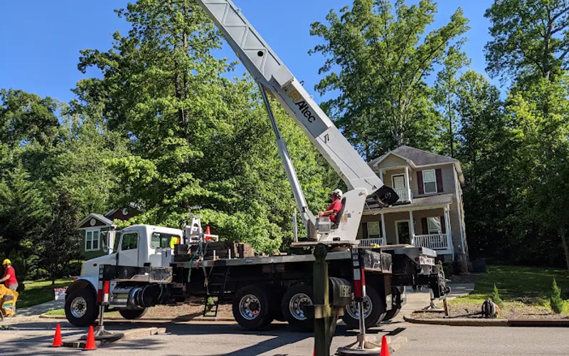 Lineberger's Tree Services Inc — Tree service