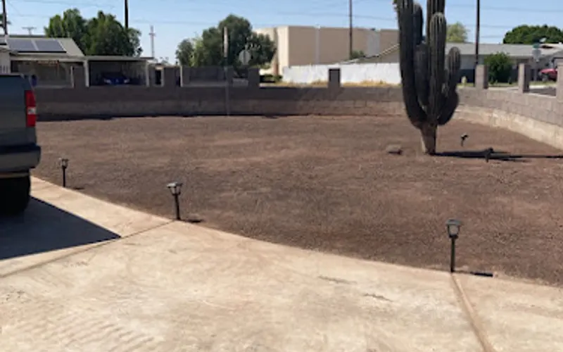 Yuma Desert Contractors — Tree service