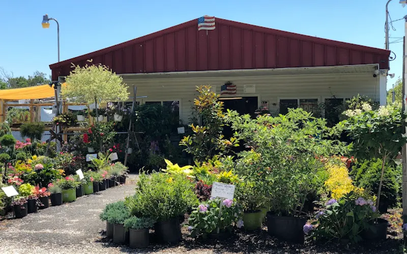 Jones Nursery — Garden center