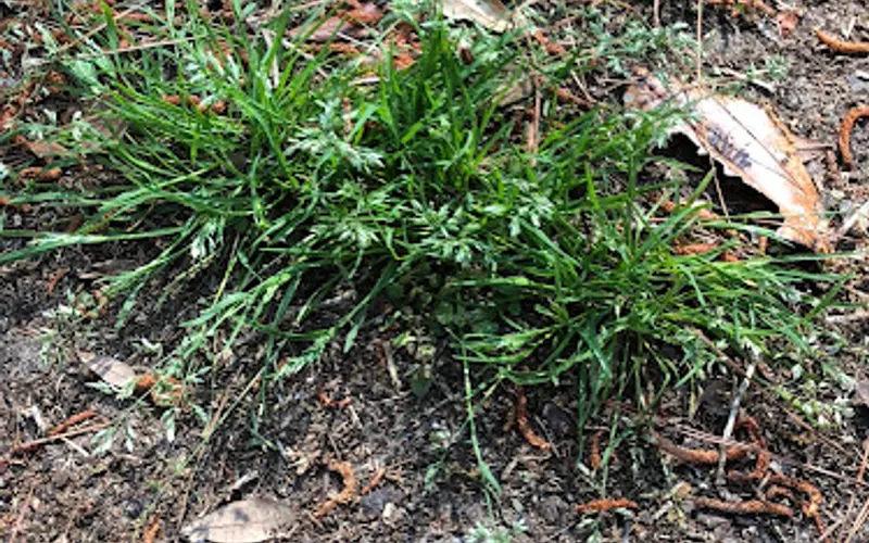 Possum's Landscape and Pest Control Supply — Landscaping supply store