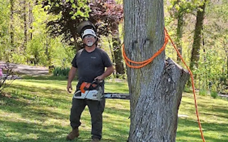 Lyman, South Carolina Tree Service — Tree service