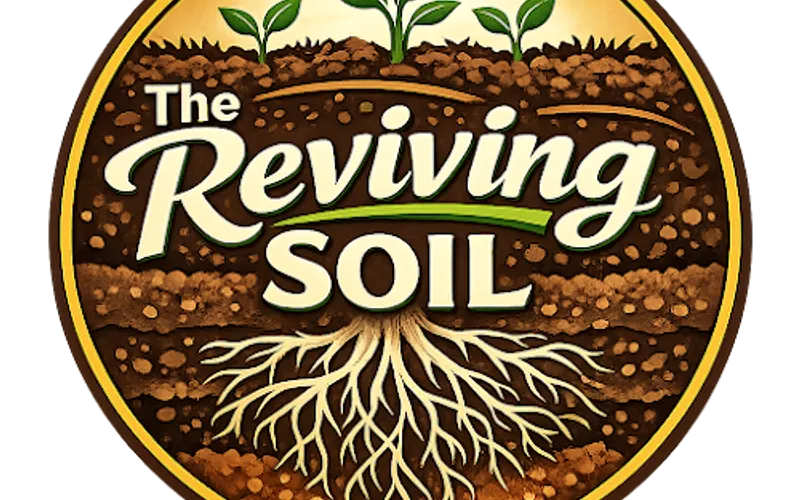 The Reviving Soil — Topsoil supplier