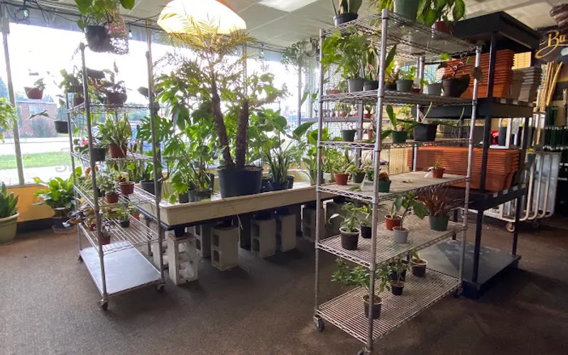Gardening Haven — Garden center
