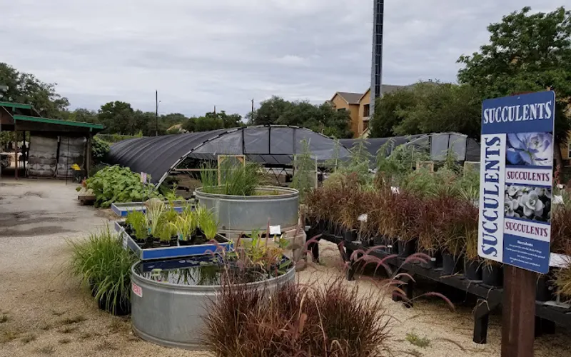 The Garden Center — Garden center