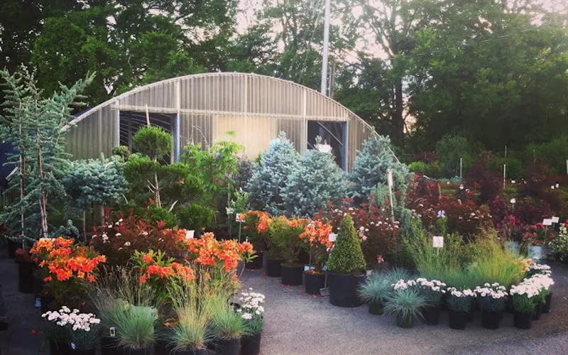 McMahan Plants — attractions