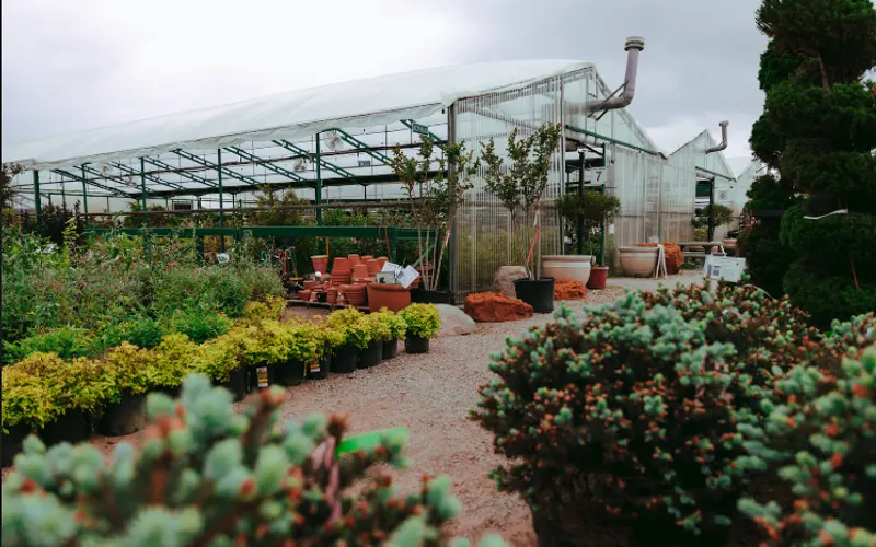 Marcum's Nursery — Topsoil supplier