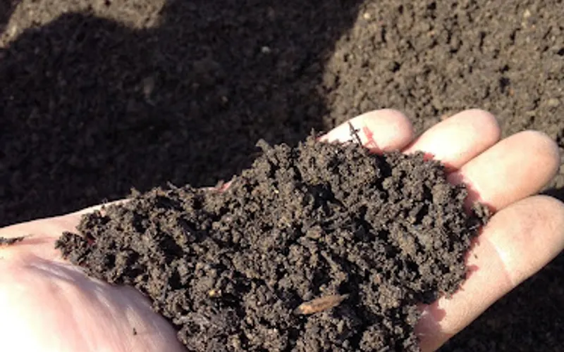 Bee Green Recycling & Supply — Landscaping supply store