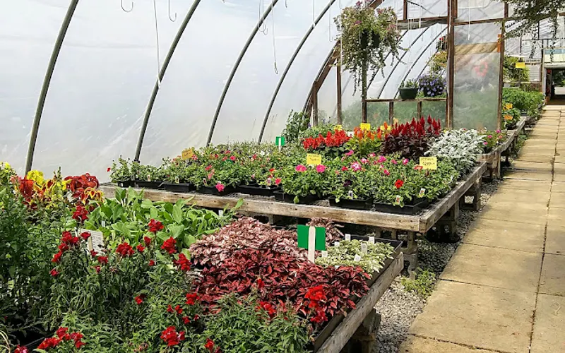 Westwood Garden Haven — Garden center
