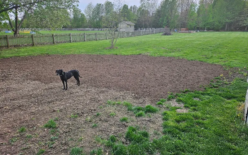 American Topsoil — Landscaper