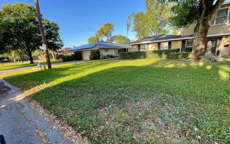 B&M Paradise Service's — Landscaper
