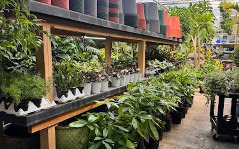 Metropolitan Plant and Flower Exchange — Garden center