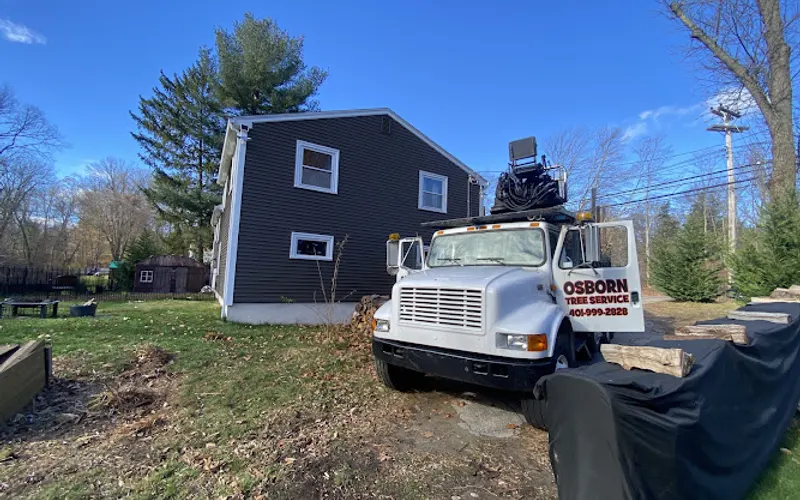 Osborn Tree Service — Tree service