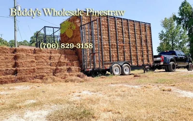 Buddy's Wholesale Pinestraw — Landscaping supply store