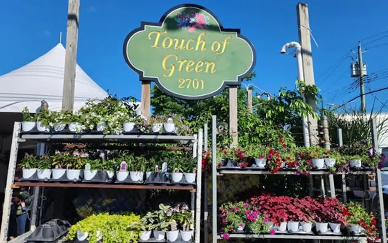 Touch of Green Nursery & Garden — Garden center