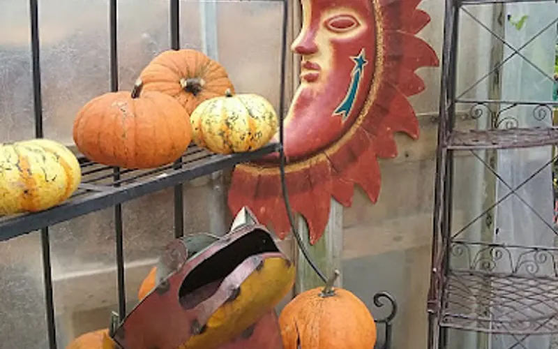G & L Garden Center — attractions