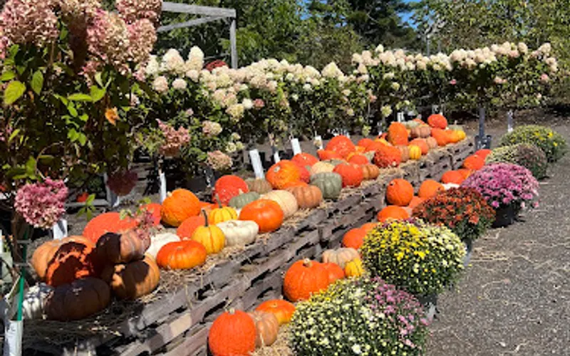 Mellilo's Greenhouse & General Store — Garden center