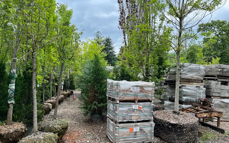 LTD Nursery & Landscape Contractors — Landscaper