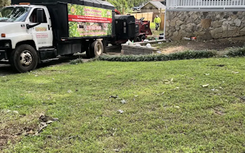 Danilo's Professional Tree Service & Landscaping — Tree service