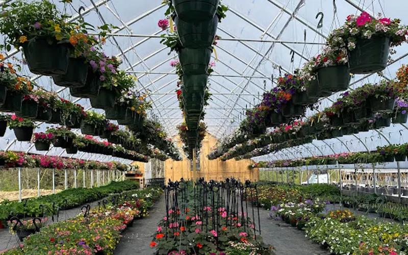 Peet Farm Greenhouses — Greenhouse