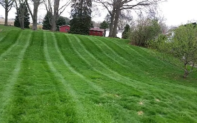 HENSEL'S LAWN CARE — Lawn care service