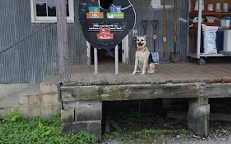 G. P. Kittrell & Son, Inc. — Animal feed store