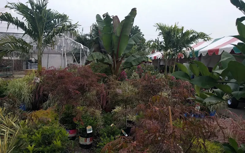 Ariemma's Garden Center — Garden center