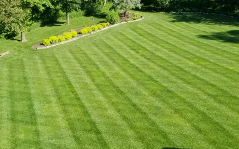 Tompkins Lawn Care, Inc. — Lawn care service