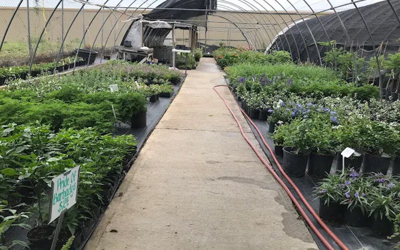Yardart Garden Center — Landscaper
