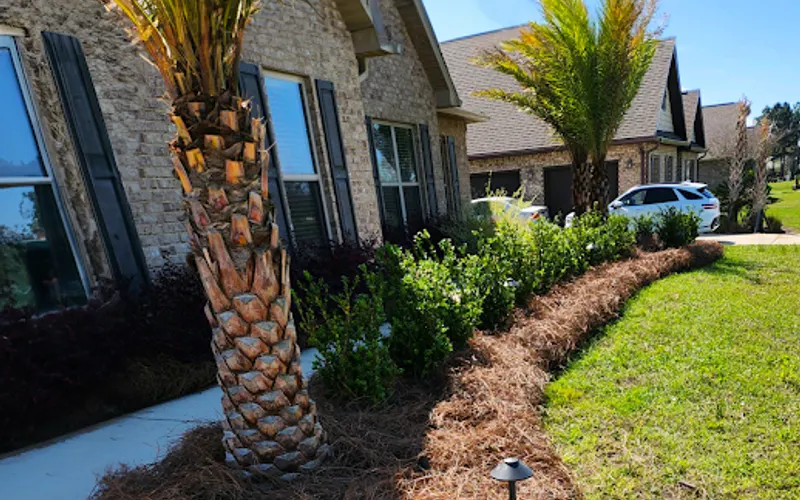 Southern Pine Straw — Landscaping supply store