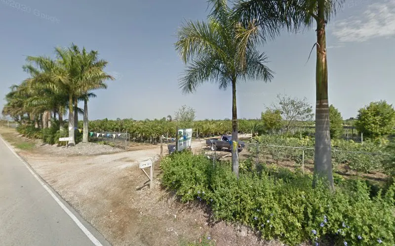 Chepes Nursery & Landscaping — Wholesale plant nursery