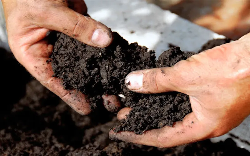 Troy Topsoil — Topsoil supplier