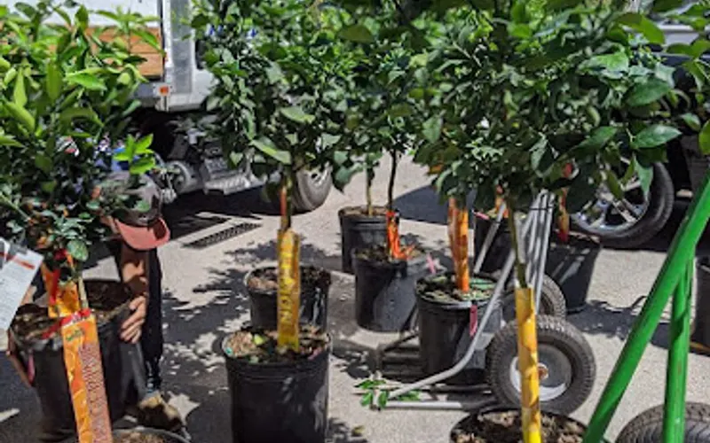 The FARM — Garden center
