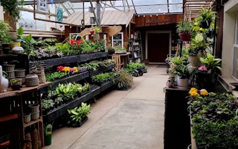 Lancaster Greenhouse & Nursery — Greenhouse