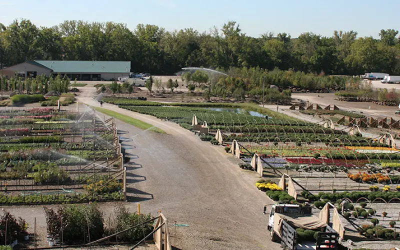 Acorn Farms Inc — Wholesale plant nursery