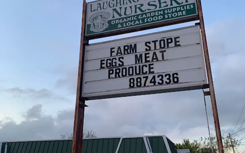 Laughing Buddha Nursery — Fresh food market