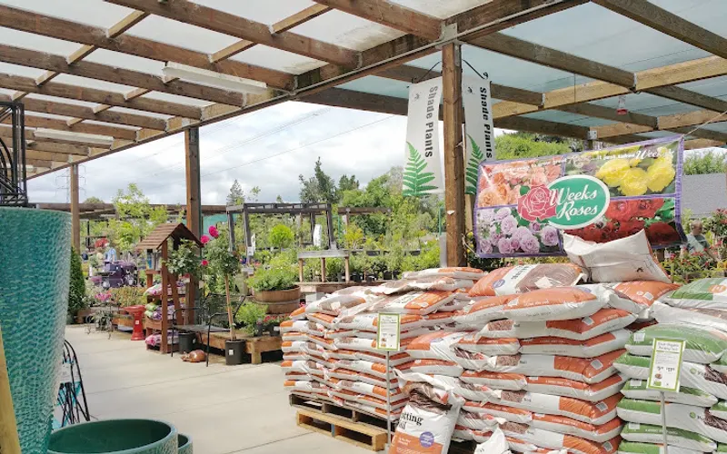 Sloat Garden Center — Garden center