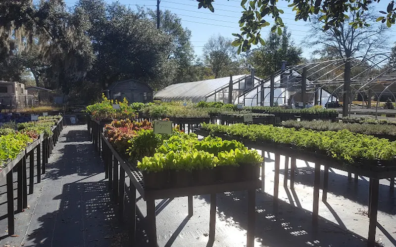 Inlet Culinary Garden — Garden center