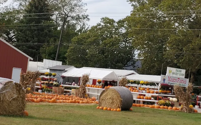 Mason Farms Country Market — Produce market