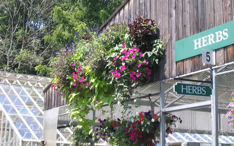 Gilbertie's Herbs and Garden Center — Garden center