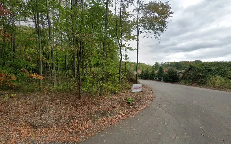 Handley's Tree Service — Tree service