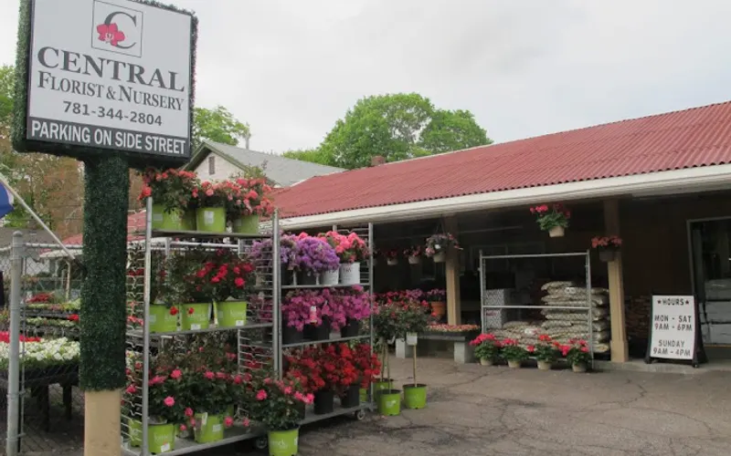 Central Florist & Nursery — Garden center