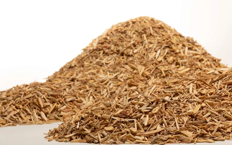 Eco Wood Solutions — Recycling center