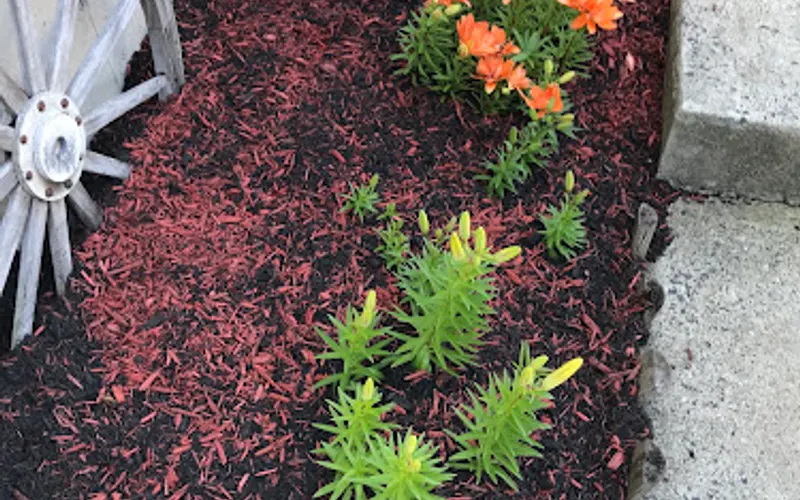 Lapp's Landscape Products — Landscaping supply store
