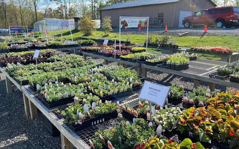 Mitchell's Nursery & Greenhouse Inc. — Plant nursery